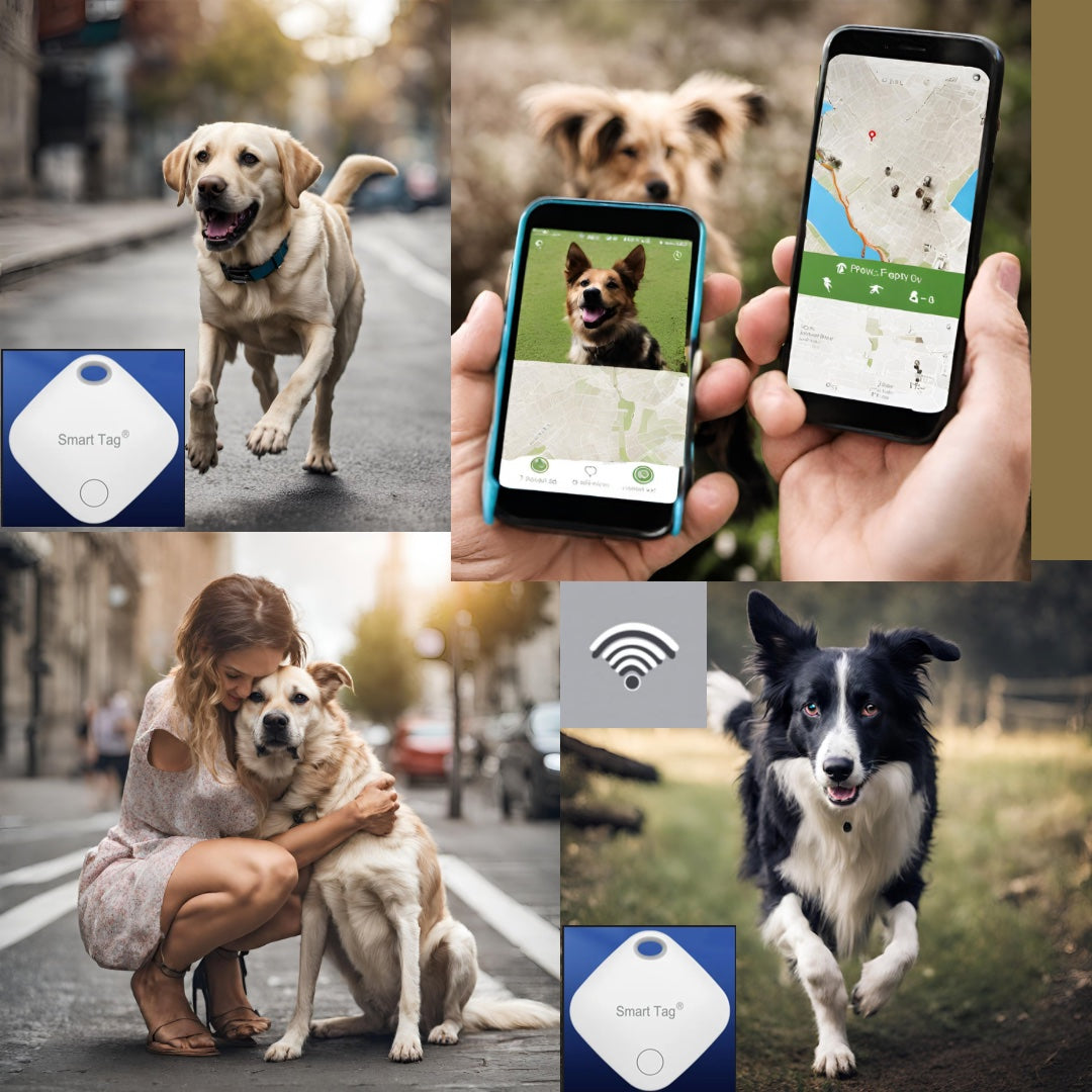 WorryLess: Stress-Free Dog Tracking